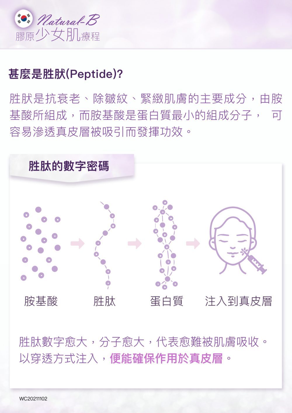 Natural-B-P2P_outline_V3_page-0003-1000x1413.jpg