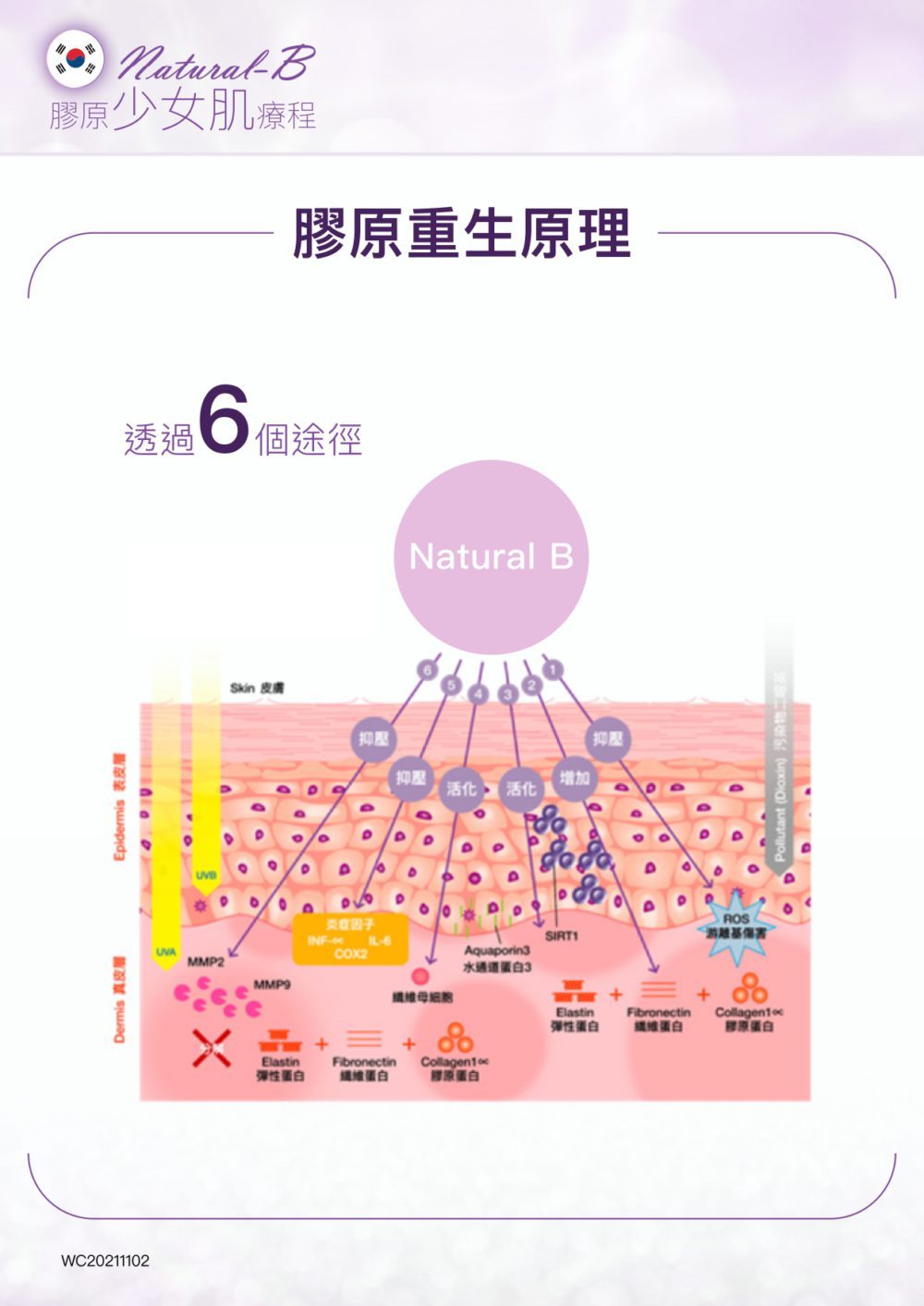 Natural-B-P2P_outline_V3_page-0004-1000x1413.jpg