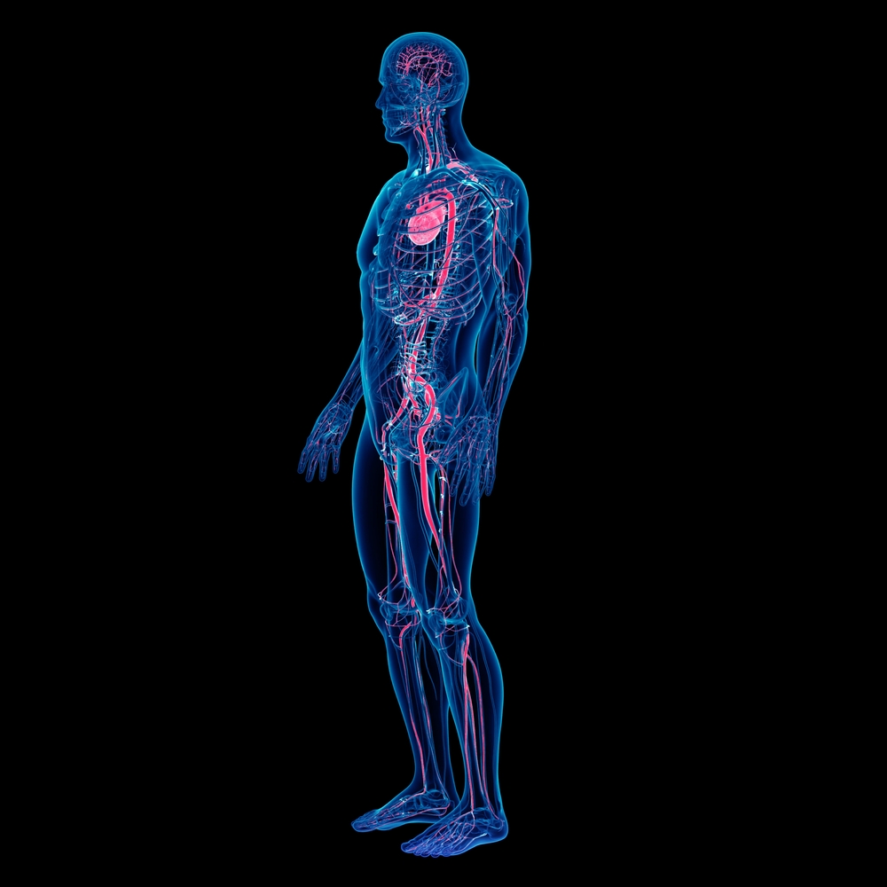 shutterstock_2431518133.jpg