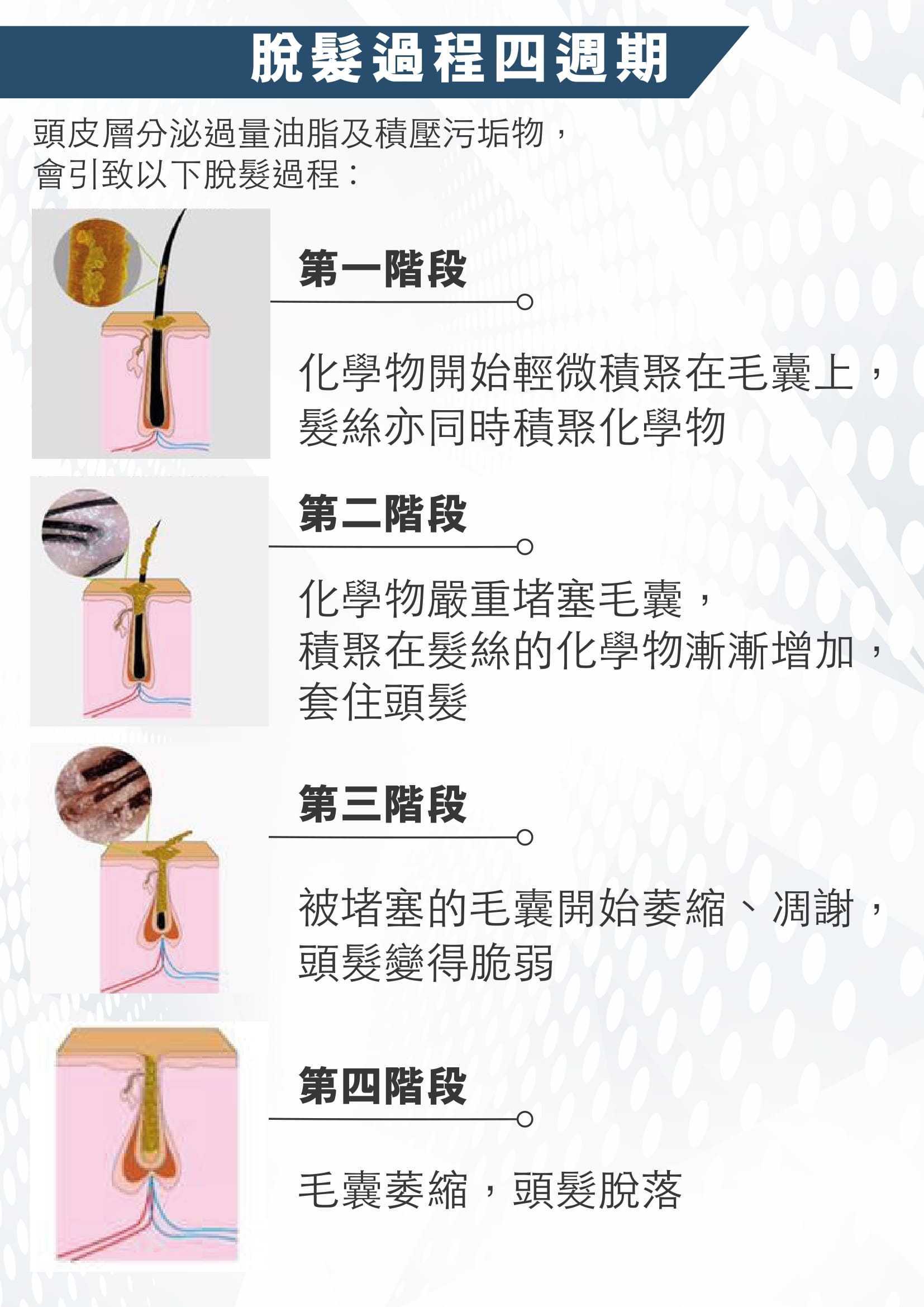 6df5b797-3c49-4670-9466-aeeb4ca9ad33.jpg 20210728_ATO-HAIR_p2p_-日本防脫控油療程-KL-04.jpg