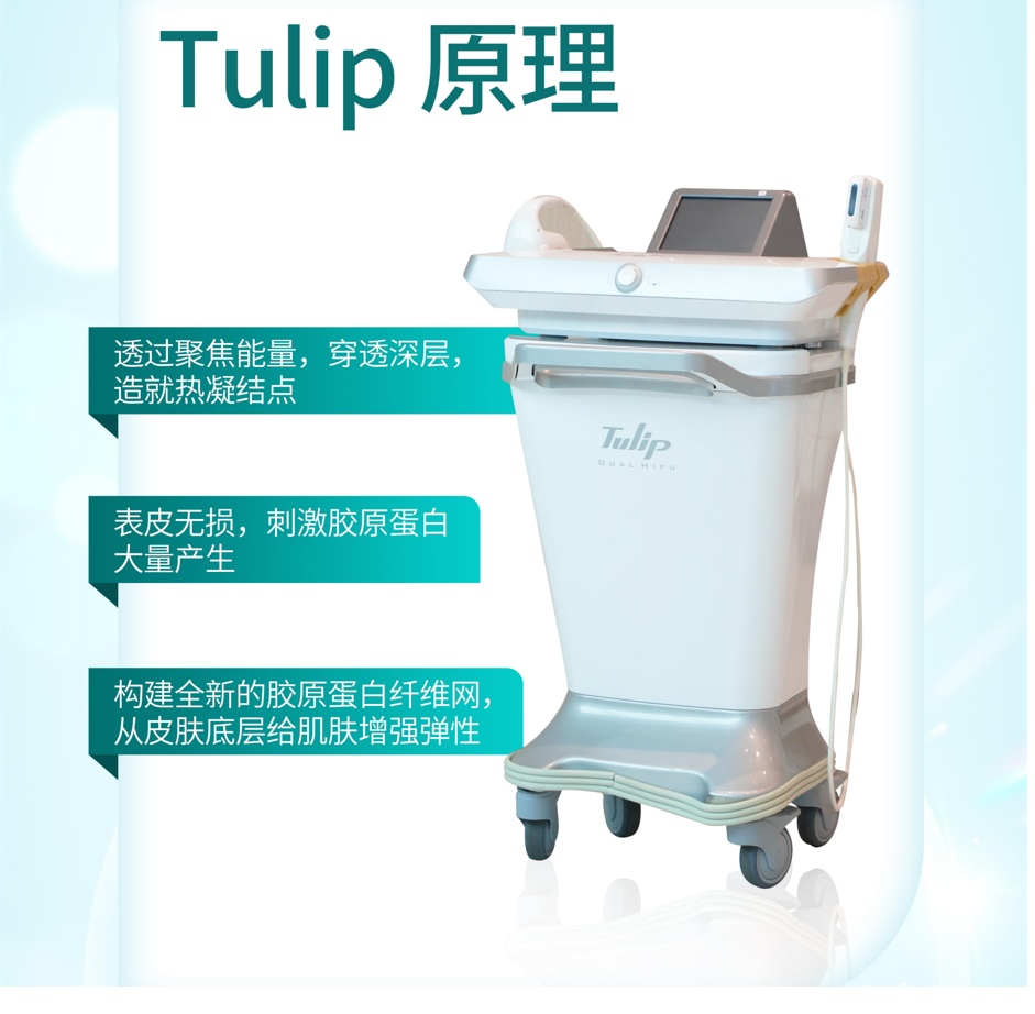 【內地】Tulip